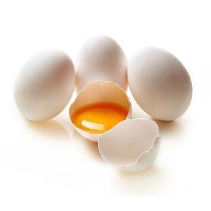 chiken-egg